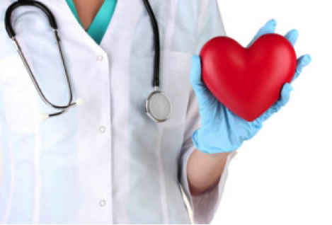 doctor holding a toy heart